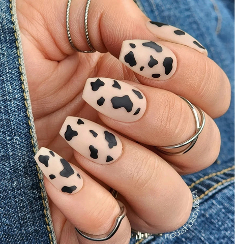 Day 131: Cow Print Nail Art | Cow nails, Short acrylic nails designs, Nail  art